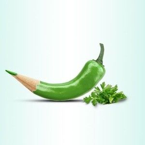 Meet your Posher, Judith